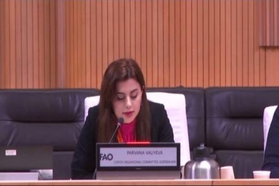 Azərbaycan COP29-da ölkələr arasında körpü rolunu oynamaq üçün səylər göstərir