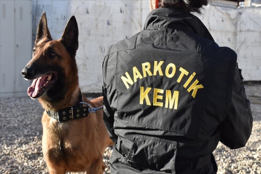 Hakkaridə dərə yatağına gizlədilmiş 56 kiloqram narkotik maddə ələ keçirilib - ÖZƏL
