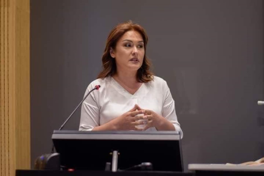 Günel Səfərova: Əgər tənqid varsa, demək iş var