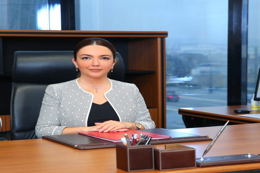 İcraçı direktor bəzi QHT-lərin öz daxilində islahatlar aparmamısından gileyləndi - Açıqlama