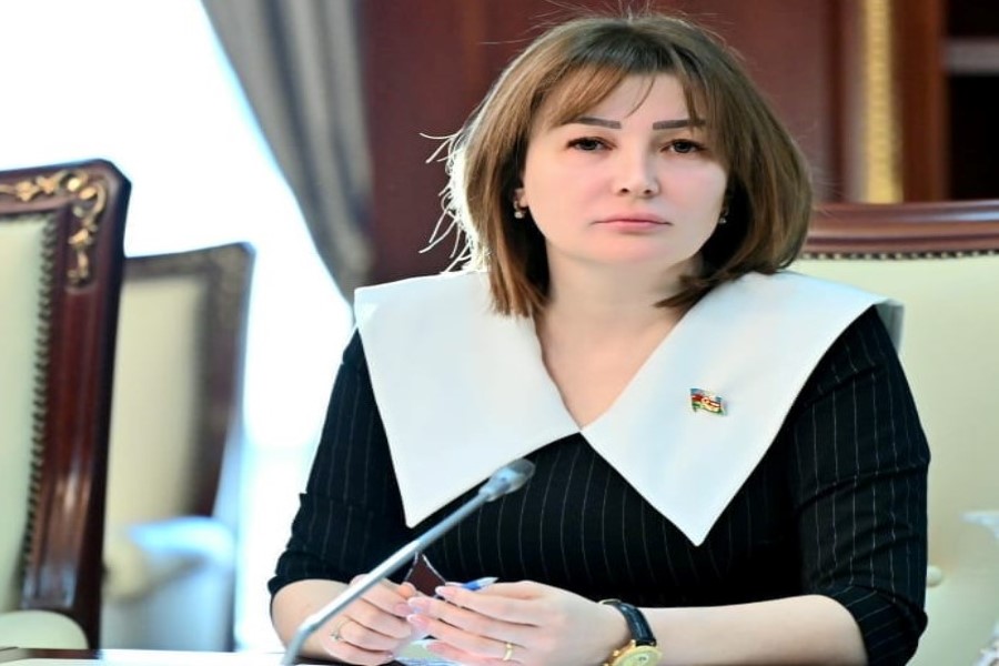 Jalə Əhmədova: "Bu dövlət qurumlarında elektron xidmətlərin tətbiqi üzrə görülən işlər ən yüksək səviyyədədir”