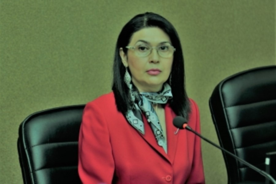 Ekspert: Ermənistan beynəlxalq sənədlərin müddəalarından irəli gələn vəzifələri yerinə yetirmir