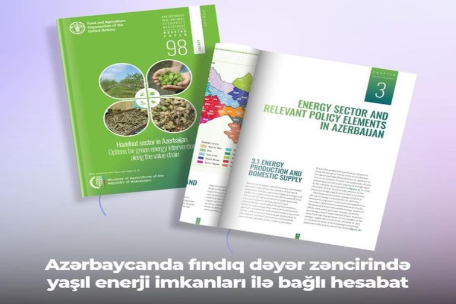 Ölkənin fındıq dəyər zəncirində yaşıl enerji imkanları ilə bağlı hesabatı...