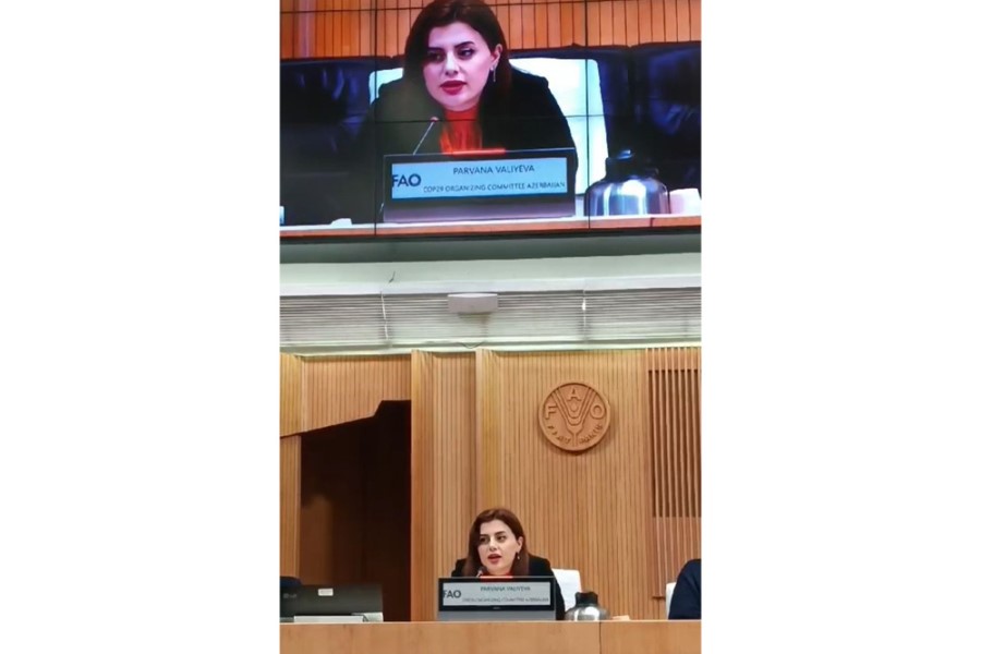 Pərvanə Vəliyeva G7 Sammitində COP29-un əhəmiyyətindən bəhs edib