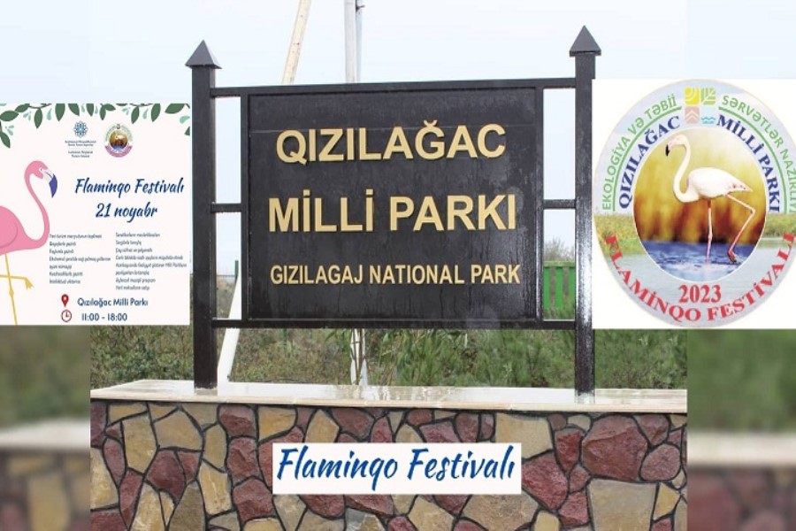 Cənubda təbiət bayramı – “Flaminqo Festivalı”