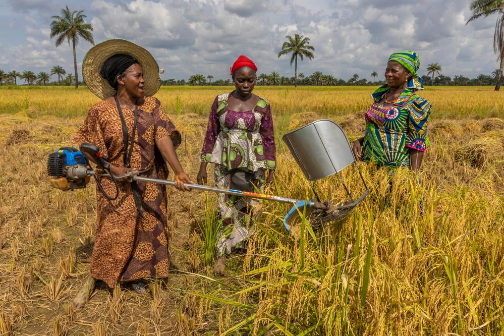 QHT: Nigeriyada həssas qruplara humanitar layihələr həyata keçiriləcək