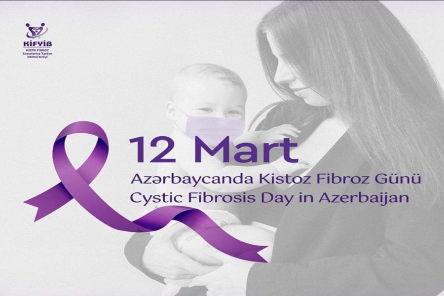 Qız qalası tünd bənovşəyi rəngə boyanacaq - Təşkilat sədrindən açıqlama