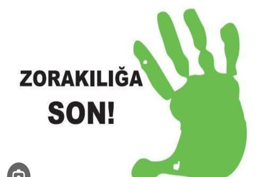 Media zorakılığı təbliğ edir, yoxsa onunla mübarizə aparır?