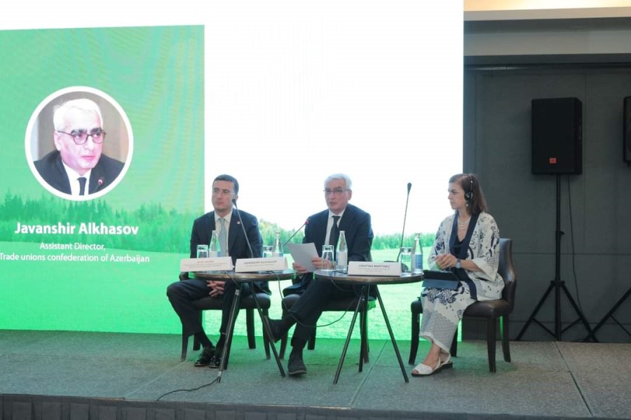 “29 İqlim Söhbəti: COP29-a gedən yol” silsiləsi çərçivəsində BƏT-lə birgə seminar keçirilir