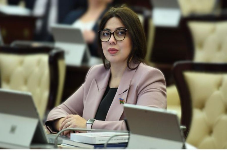 Türk Dövlətləri Təşkilatında Azərbaycanın liderlik ROLU