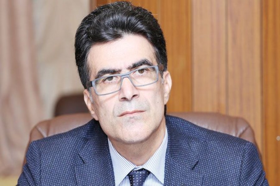 Bu cəza zorakılıq qurbanının özünə də tətbiq edilir - Sahib MƏMMƏDOV