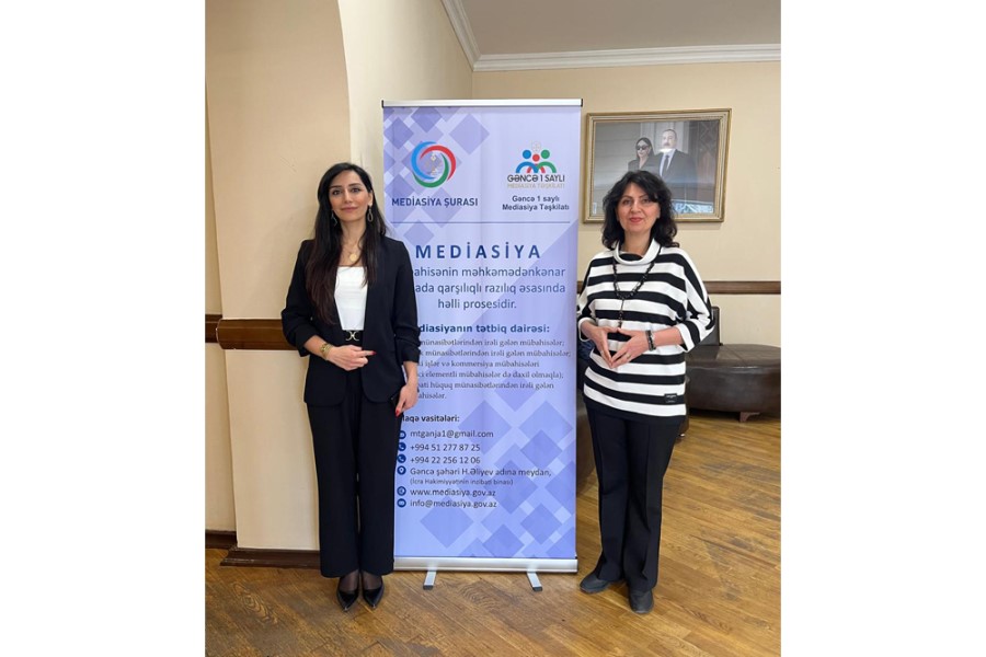 Südabə Məmmədova: "Mediatorlar "peşəkar yanma"dan qorunmaq üçün psixoloji dəstək alacaqlar"