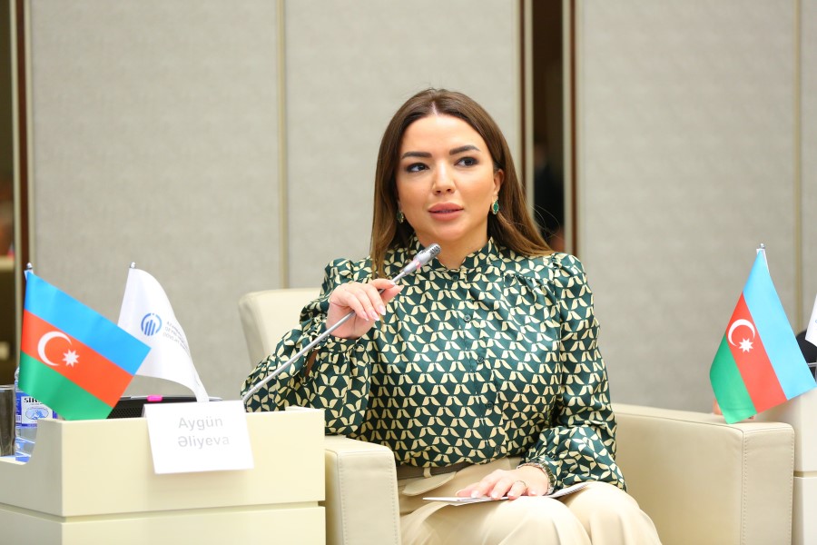 Aygün Əliyeva: Peşəkar informasiya siyasətiniz vətəndaş cəmiyyətinin inkişafına əhəmiyyətli töhfə verib