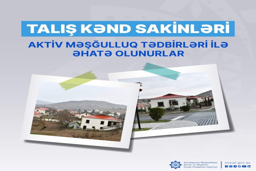 Talış kənd sakinləri aktiv məşğulluq tədbirləri ilə əhatə olunurlar