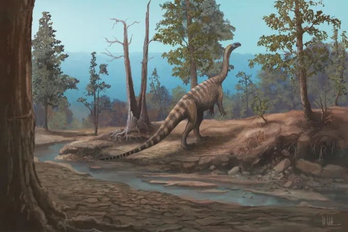Afrikada yeni dinozavr növü tapılıb