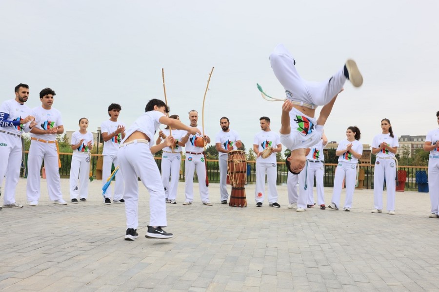 Kapoeyra idman növü üzrə ustad dərsi keçirilib - FOTOLAR