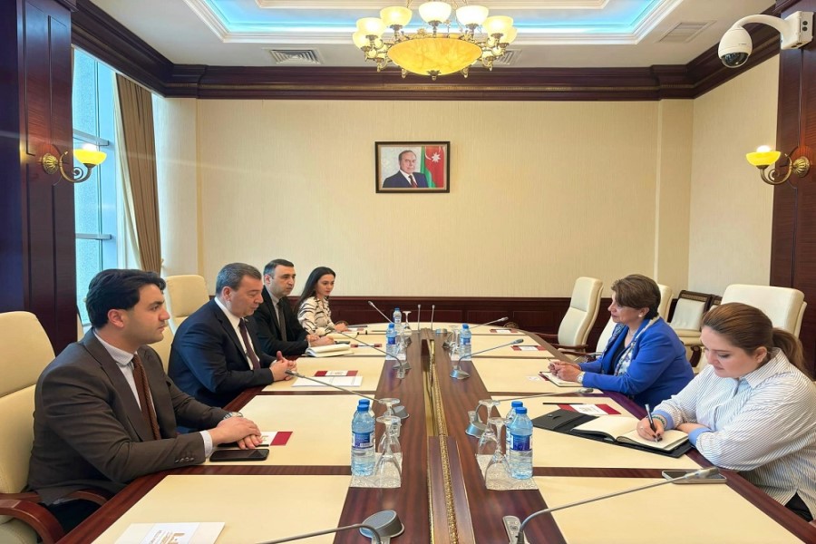 Deputat Meksika Birləşmiş Ştatlarının ölkəmizdəki fövqəladə və səlahiyyətli səfiri ilə görüşüb - FOTO