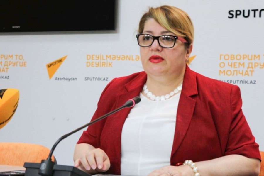 “Növbədənkənar parlament seçkilərində gənc namizədlərin fəallığı böyük əhəmiyyət kəsb edir” — QHT-nin icraçı direktoru
