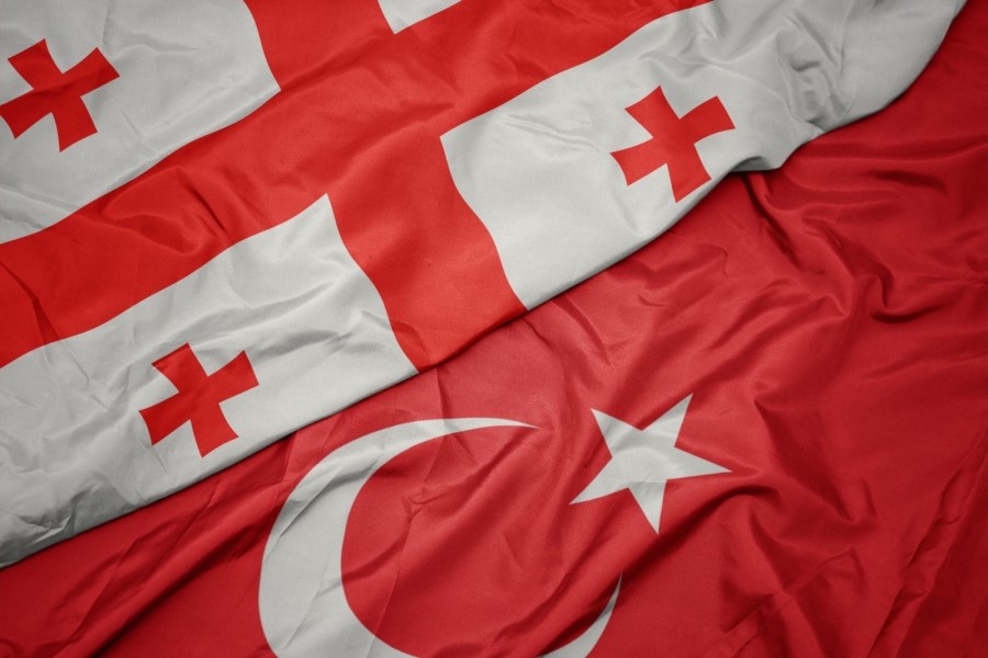 Gürcüstan: Biz türk xalqının yanındayıq - ÖZƏL