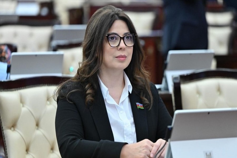Deputat: "Üç qardaş ölkə təkcə ikitərəfli deyil, həm də..."